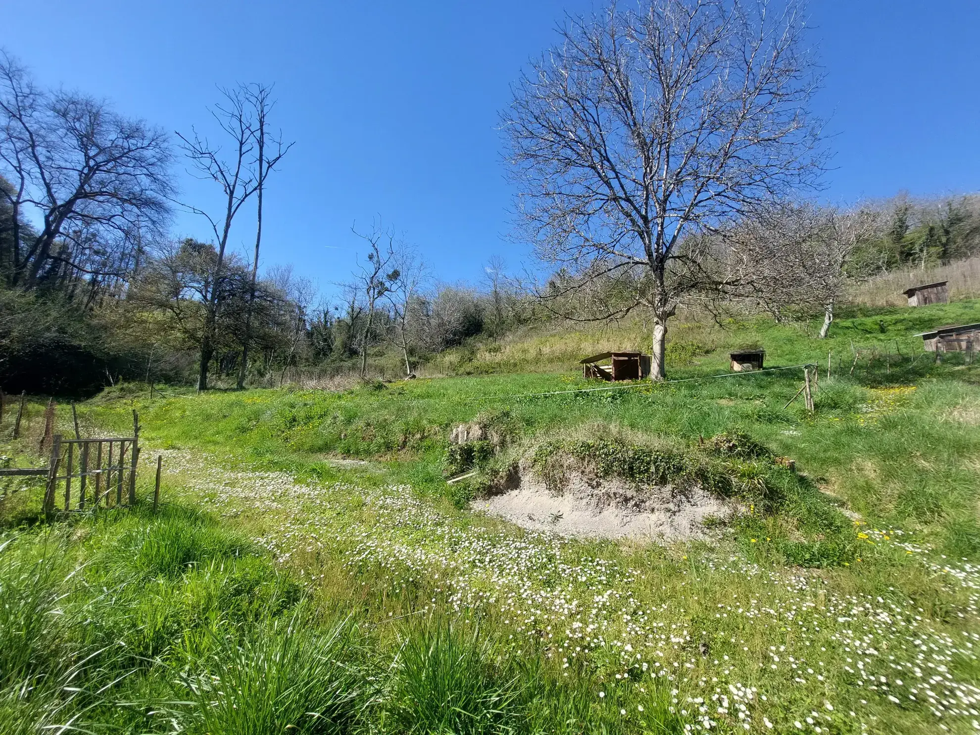 Maison en pierre de 110 m² à rénover avec grand jardin près de La Réole 