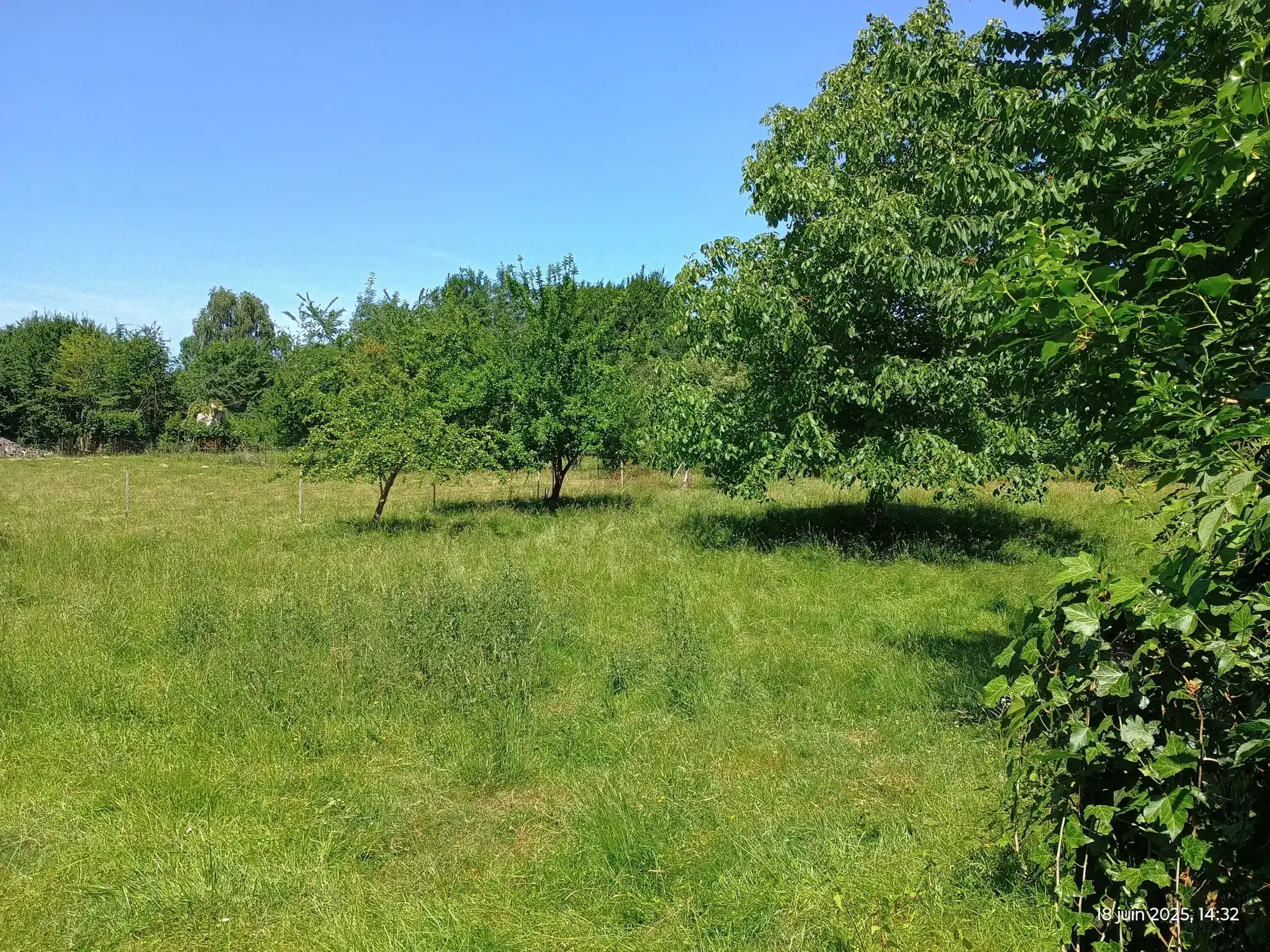 Longère typique en Aisne avec 1,23 ha de terrain et potentiel d'aménagement 
