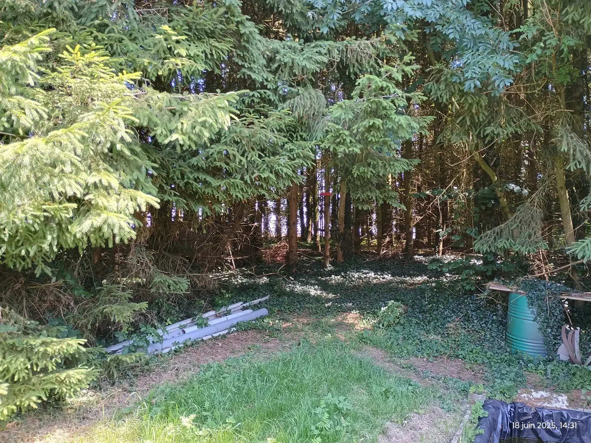 Longère typique en Aisne avec 1,23 ha de terrain et potentiel d'aménagement 