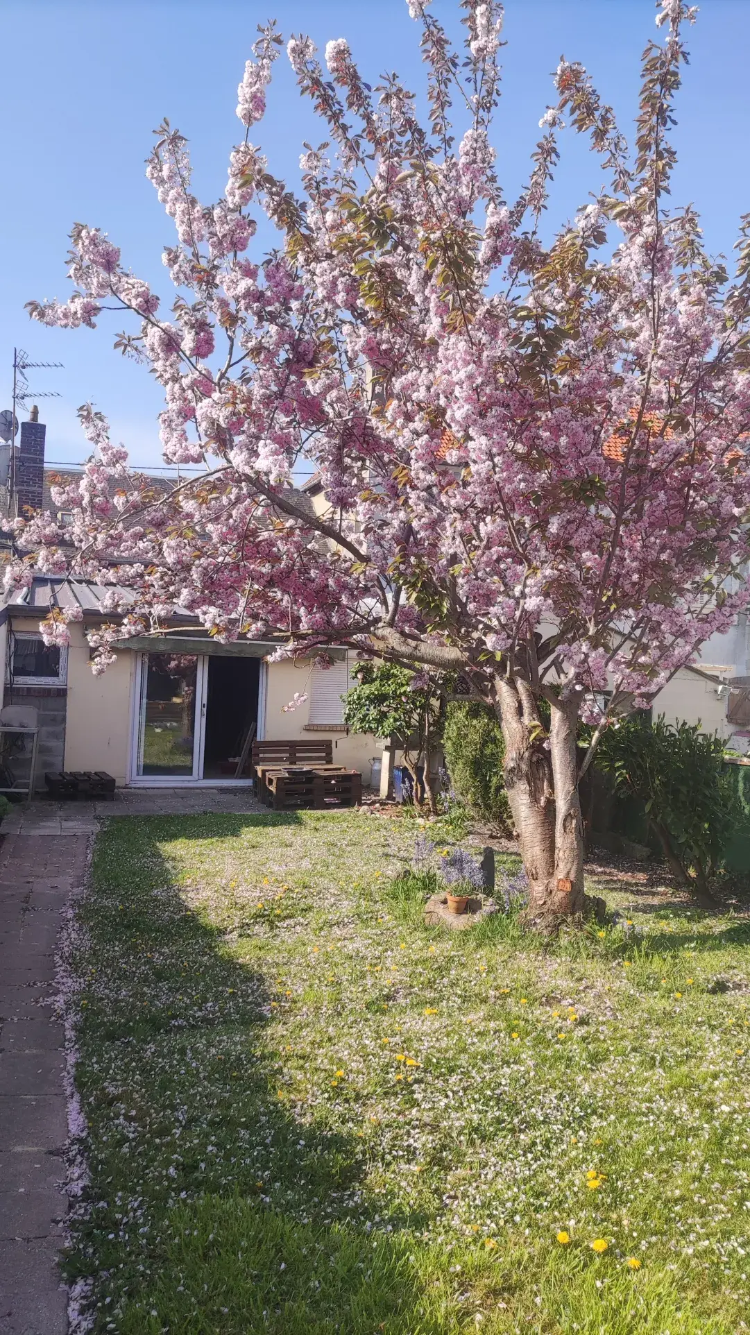 Maison à réhabiliter proche du centre-ville de Fécamp avec grand terrain et garage