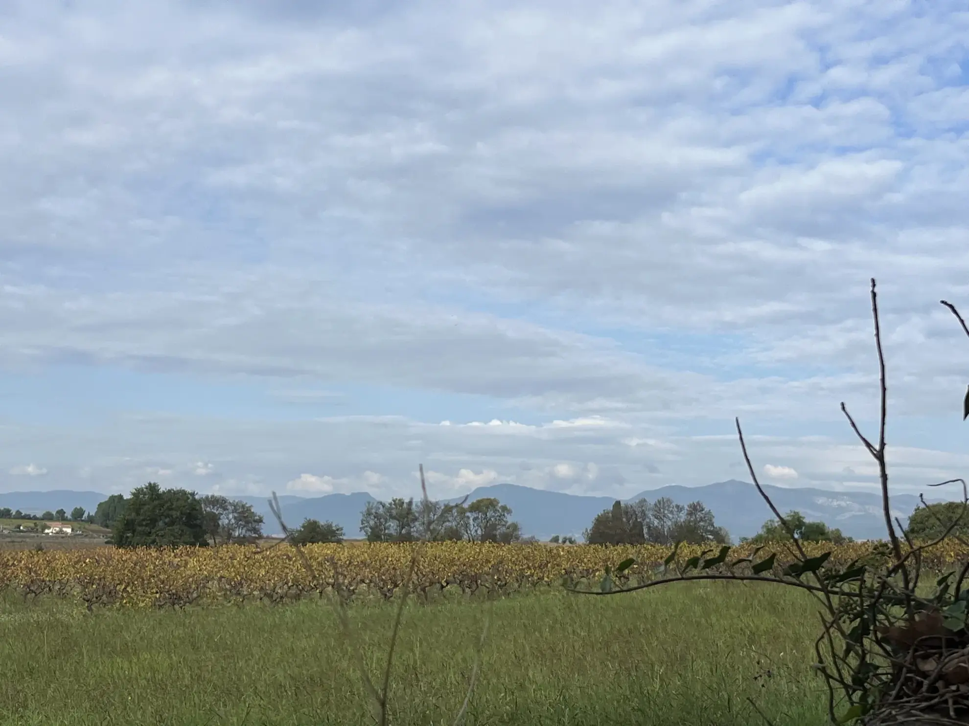 Appartement T3 Neuf à Gignac - Vue Dégagée, Charme et Confort 