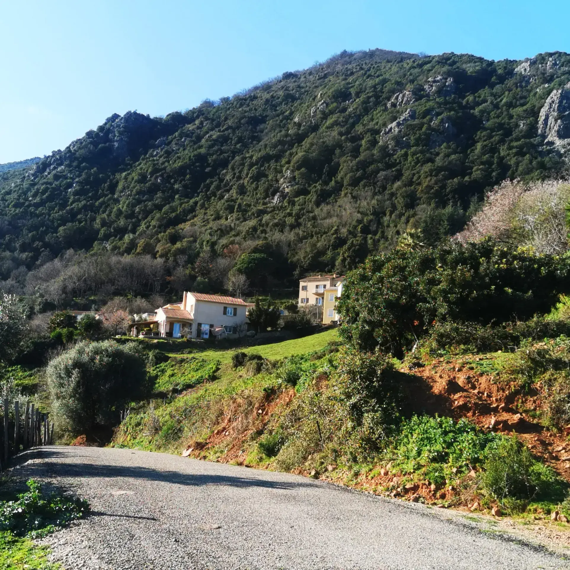 Terrain à construire à Linguizzetta avec Vue panoramique mer et montagnes 