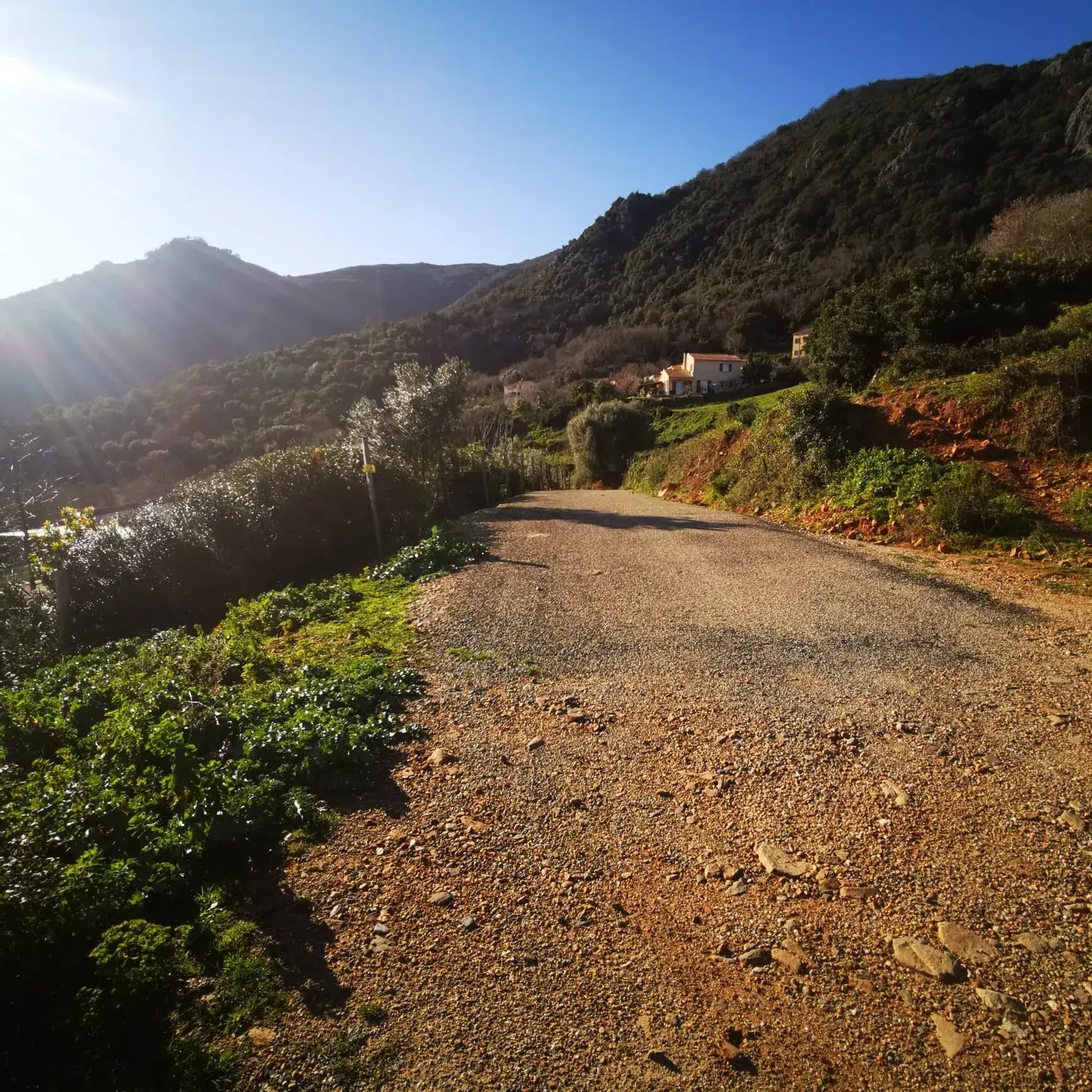 Terrain à construire à Linguizzetta avec Vue panoramique mer et montagnes 