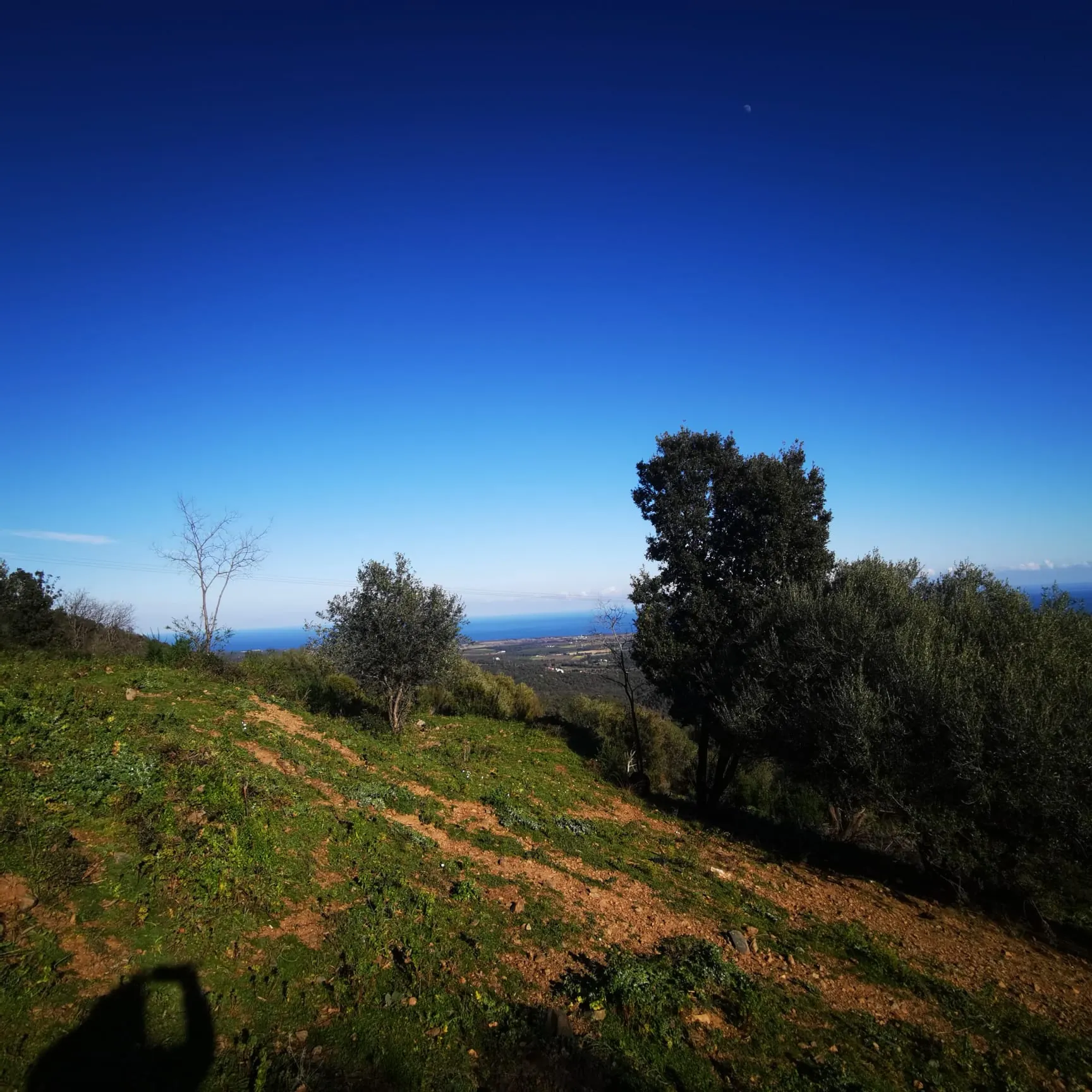 Terrain à construire à Linguizzetta avec Vue panoramique mer et montagnes 