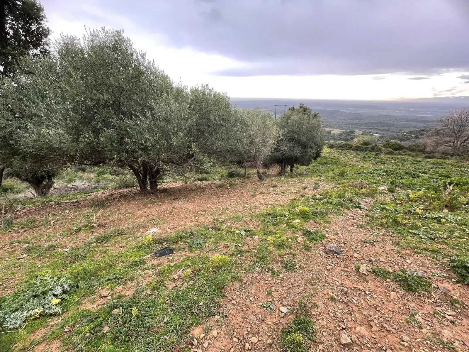 Terrain à construire à Linguizzetta avec Vue panoramique mer et montagnes