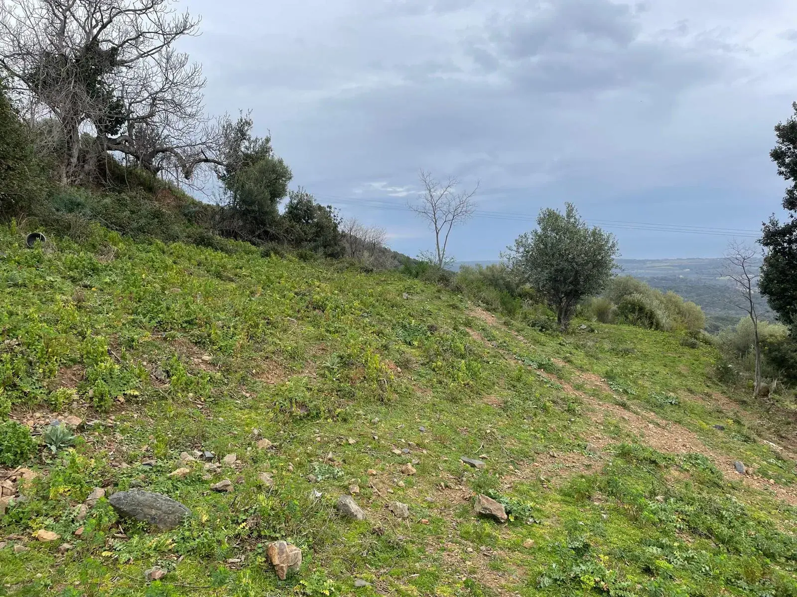 Terrain à construire à Linguizzetta avec Vue panoramique mer et montagnes 
