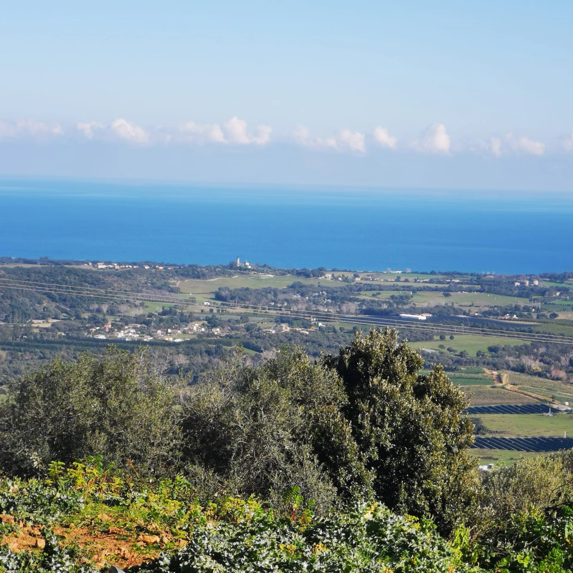 Terrain à construire à Linguizzetta avec Vue panoramique mer et montagnes 