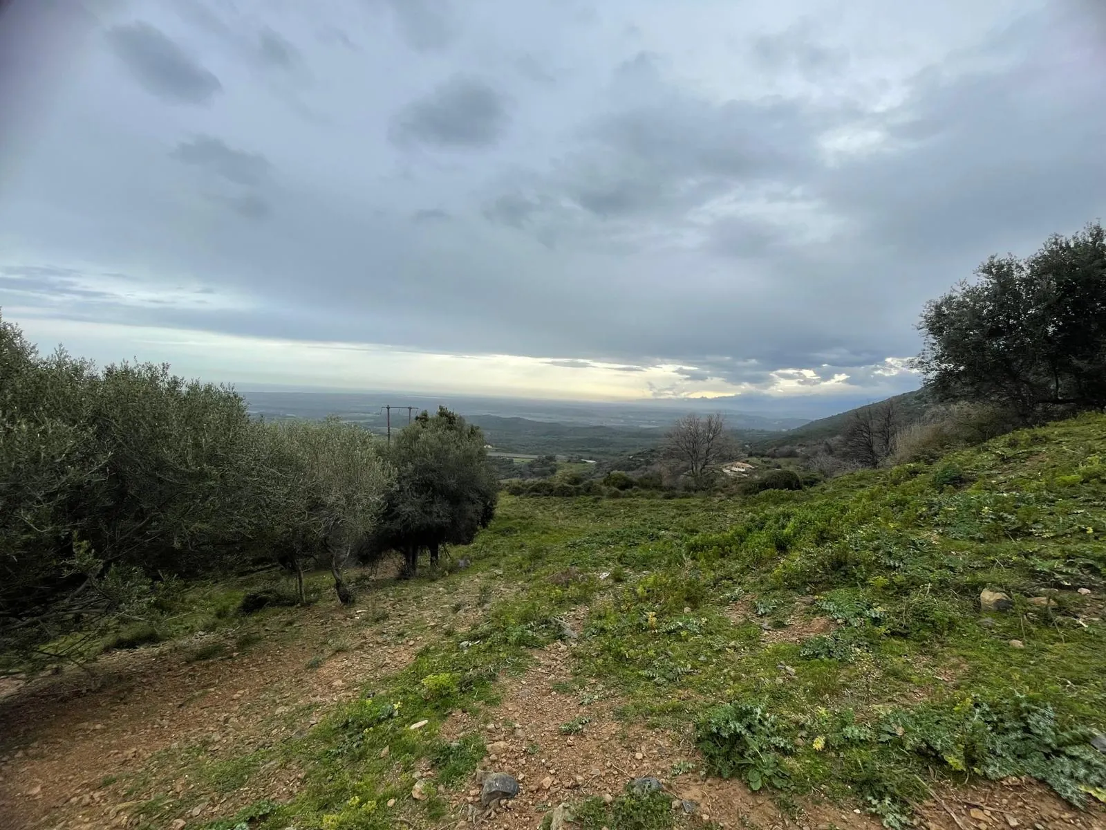 Terrain à construire à Linguizzetta avec Vue panoramique mer et montagnes 