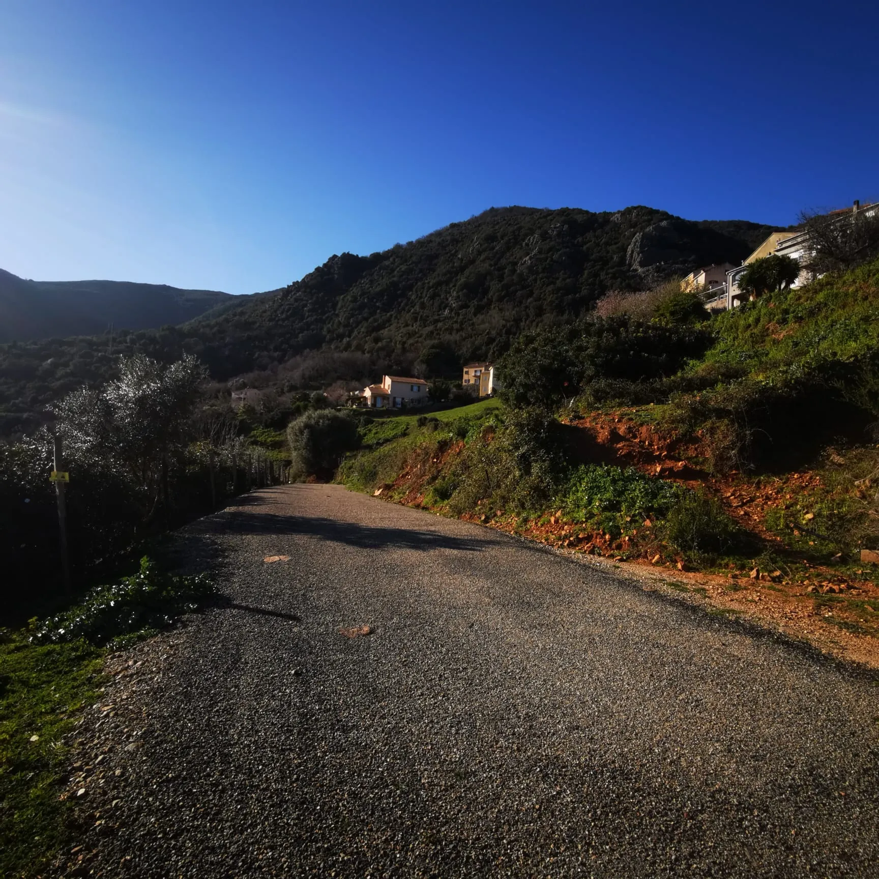 Terrain à construire à Linguizzetta avec Vue panoramique mer et montagnes 