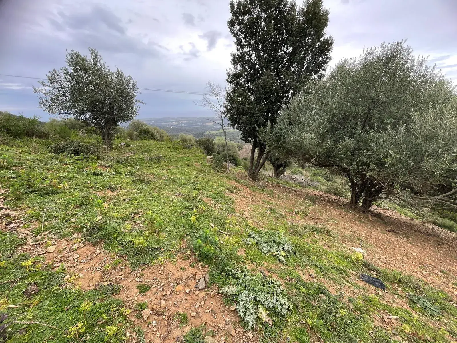Terrain à construire à Linguizzetta avec Vue panoramique mer et montagnes 