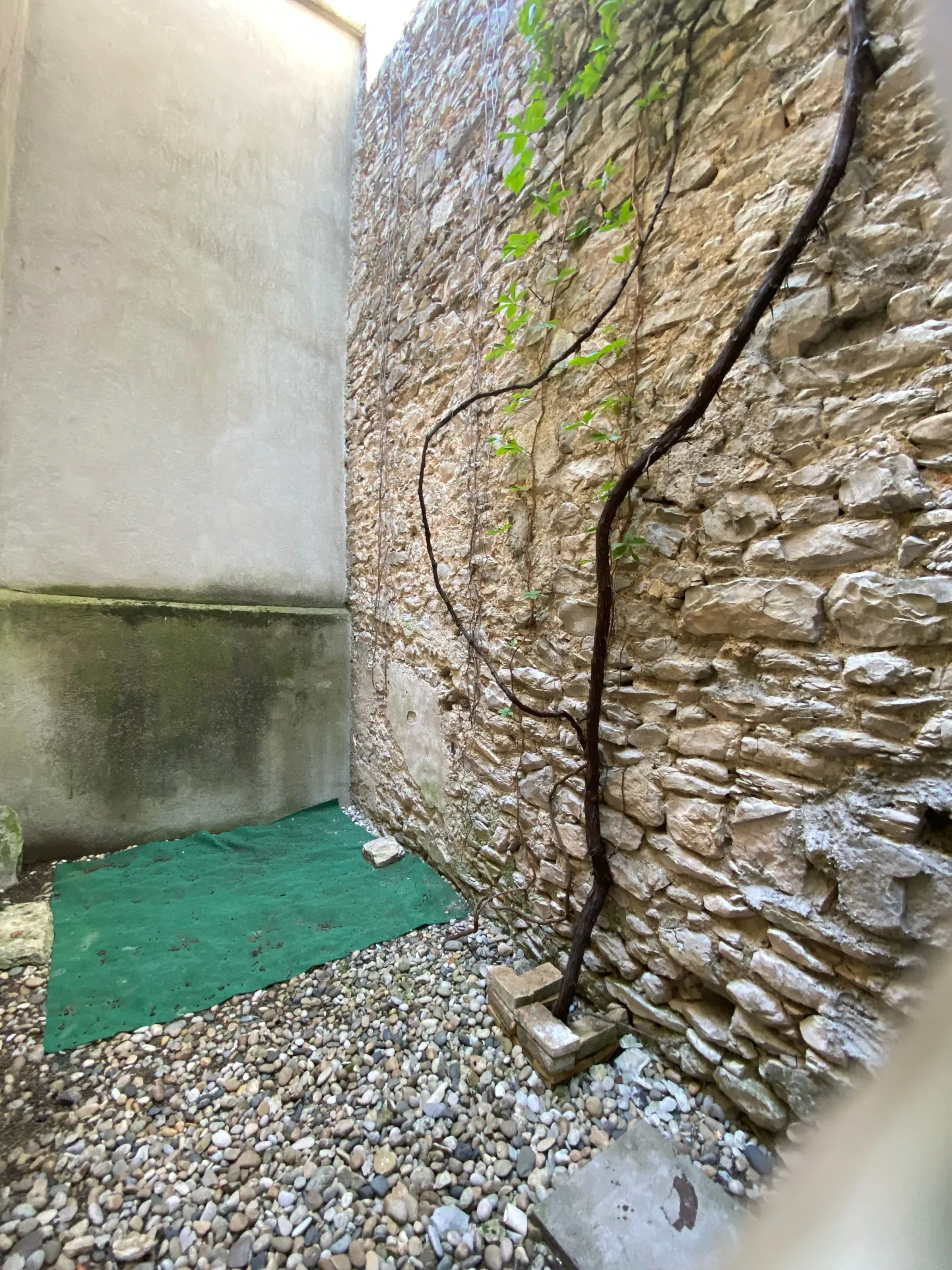 Charmante maison en pierres rénovée avec cour à Durfort dans le Gard 