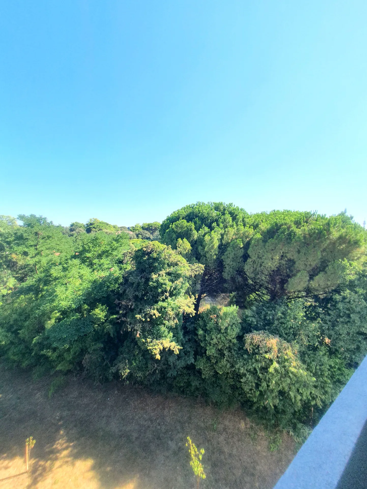 Appartement T1 à Montpellier avec terrasse, parking et situation privilégiée 