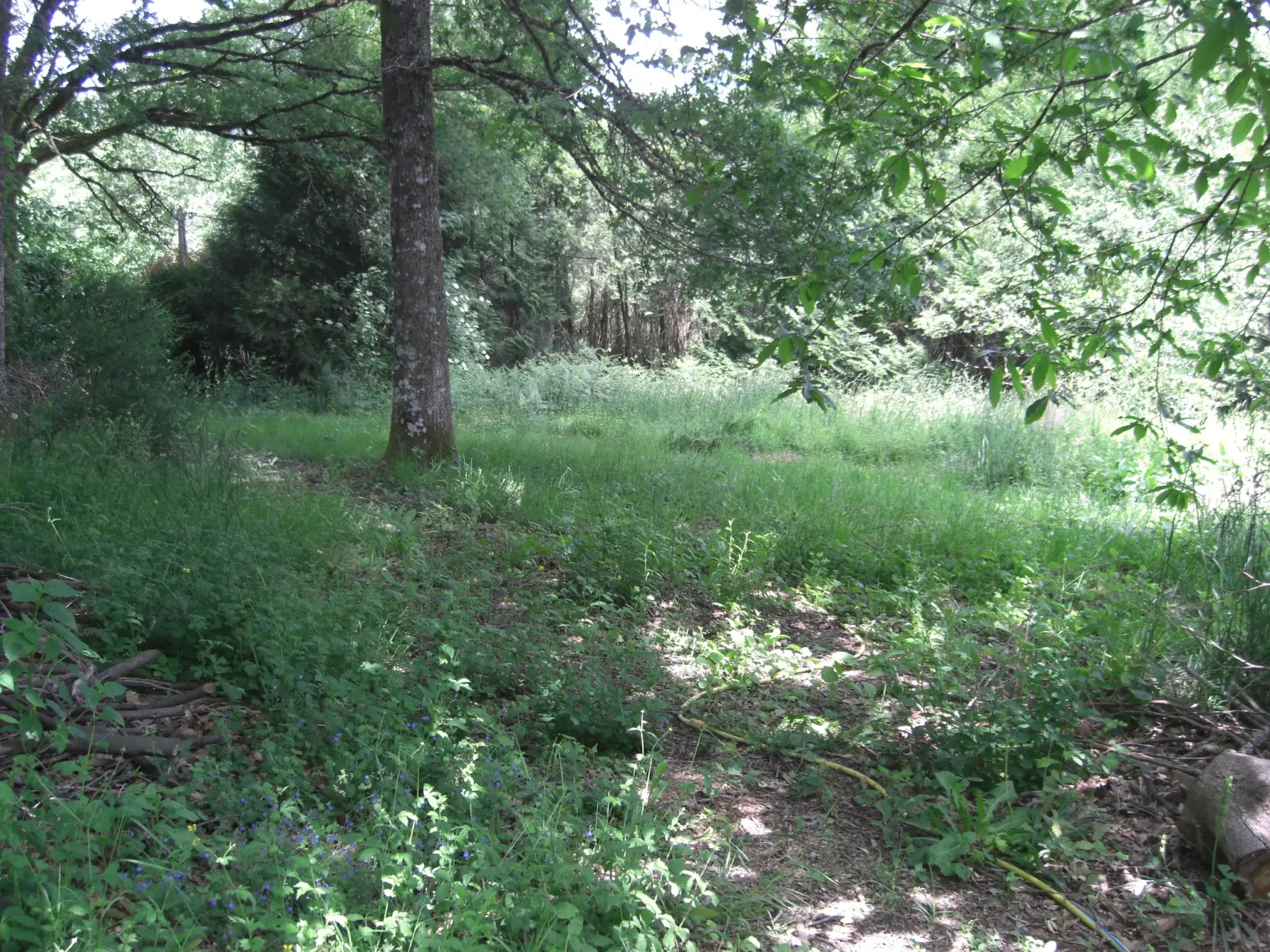 Terrain constructible de 1800 m² à Miallet en Périgord-Limousin 