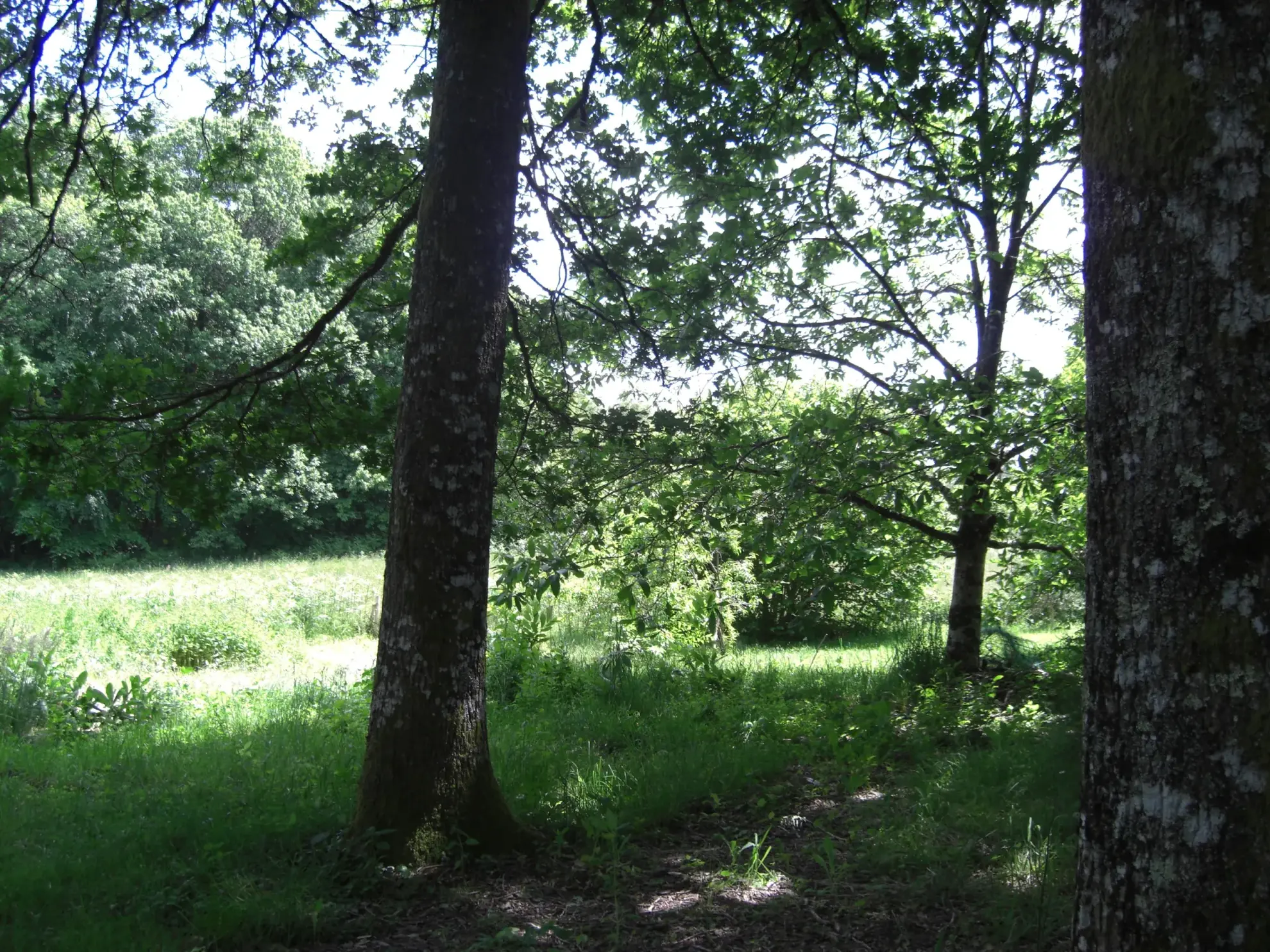 Terrain constructible de 1800 m² à Miallet en Périgord-Limousin