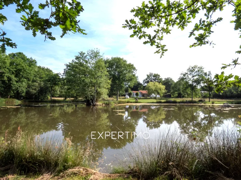 Charmante maison avec vue étang à vendre à La Boissière-des-Landes (85430)