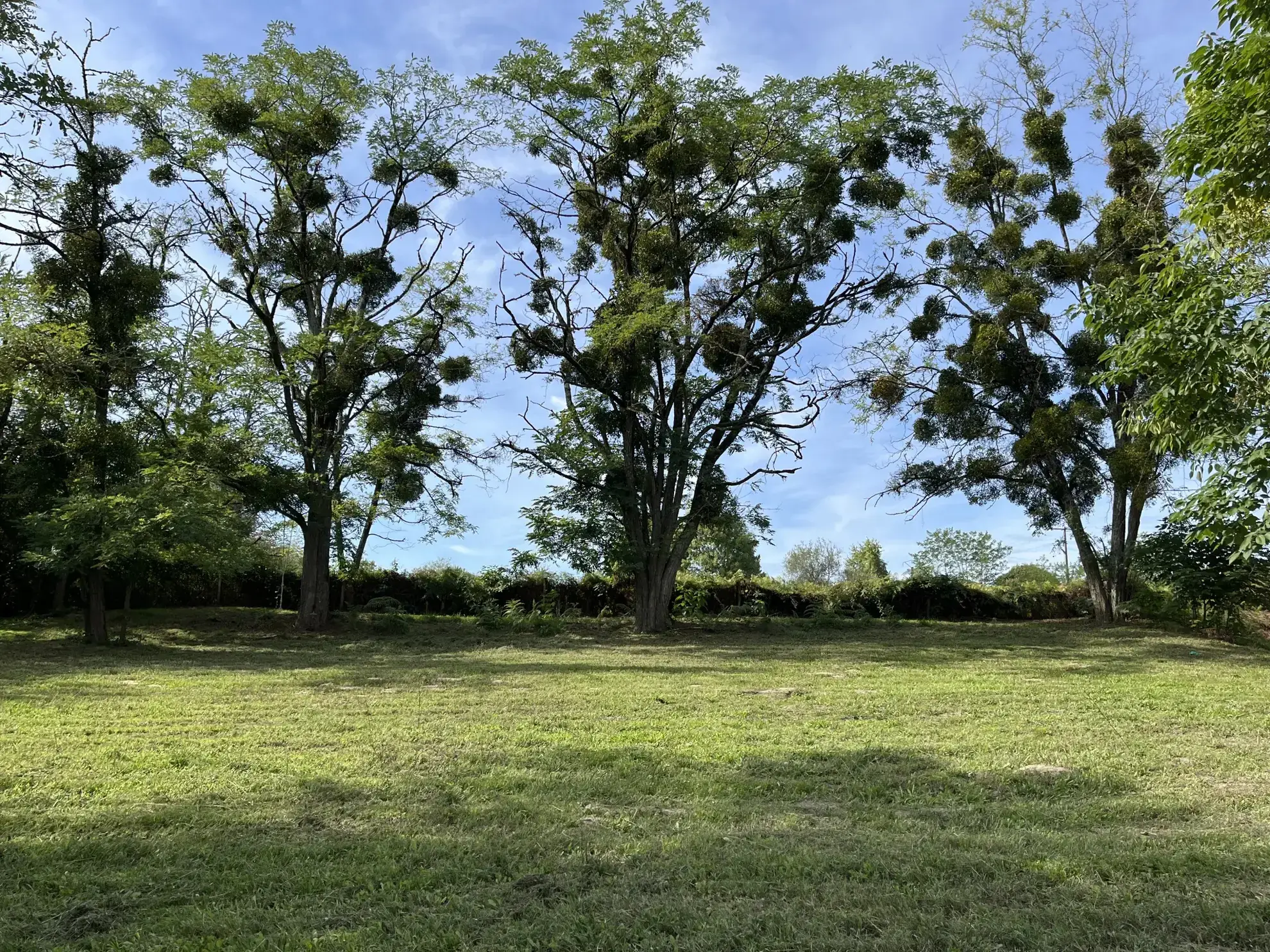 Maison en pierre de 125 m² avec grand terrain à Bazas 