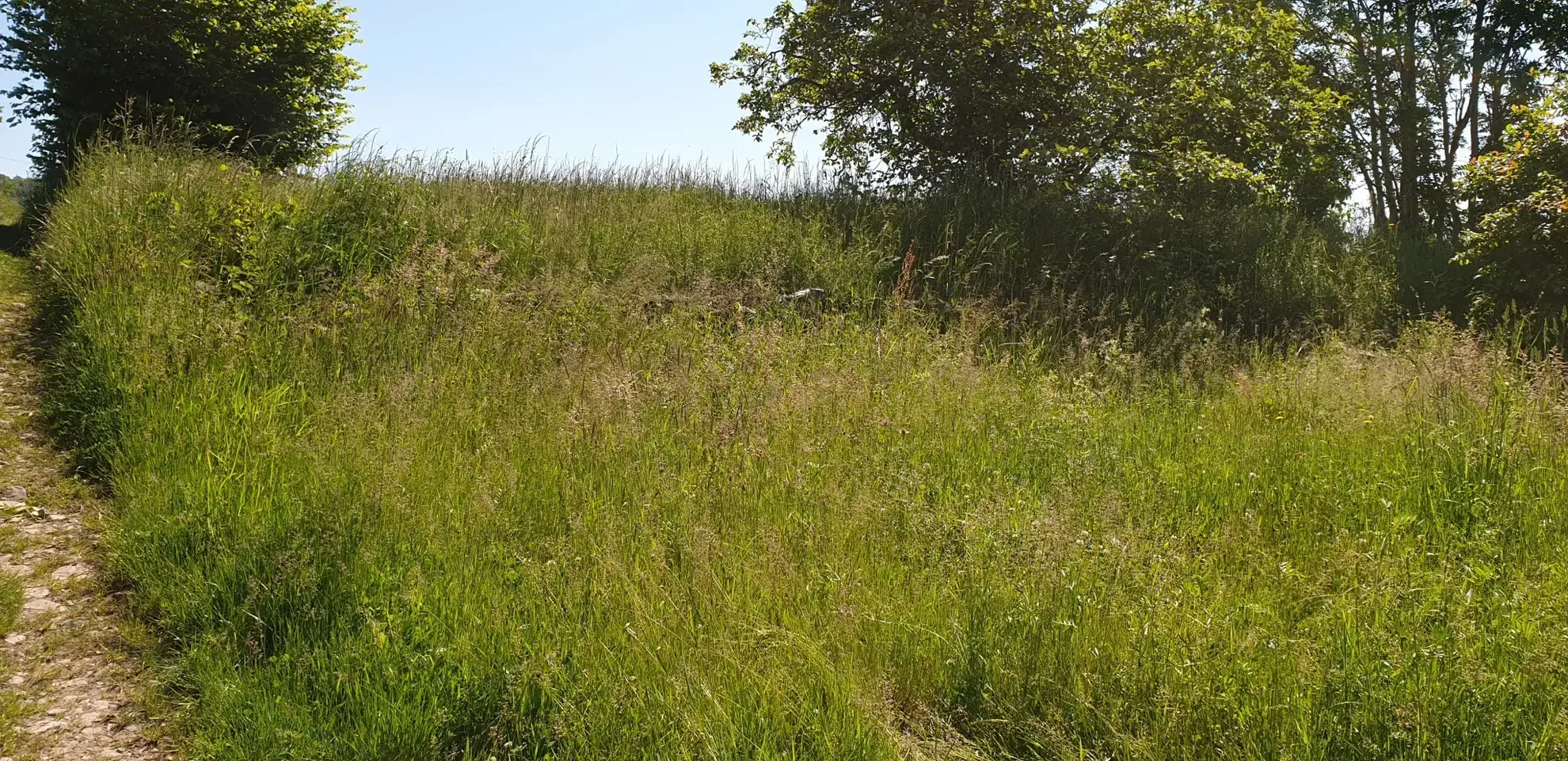 Charmante ferme en L avec potentiel à Sainte-Foy-l'Argentière 