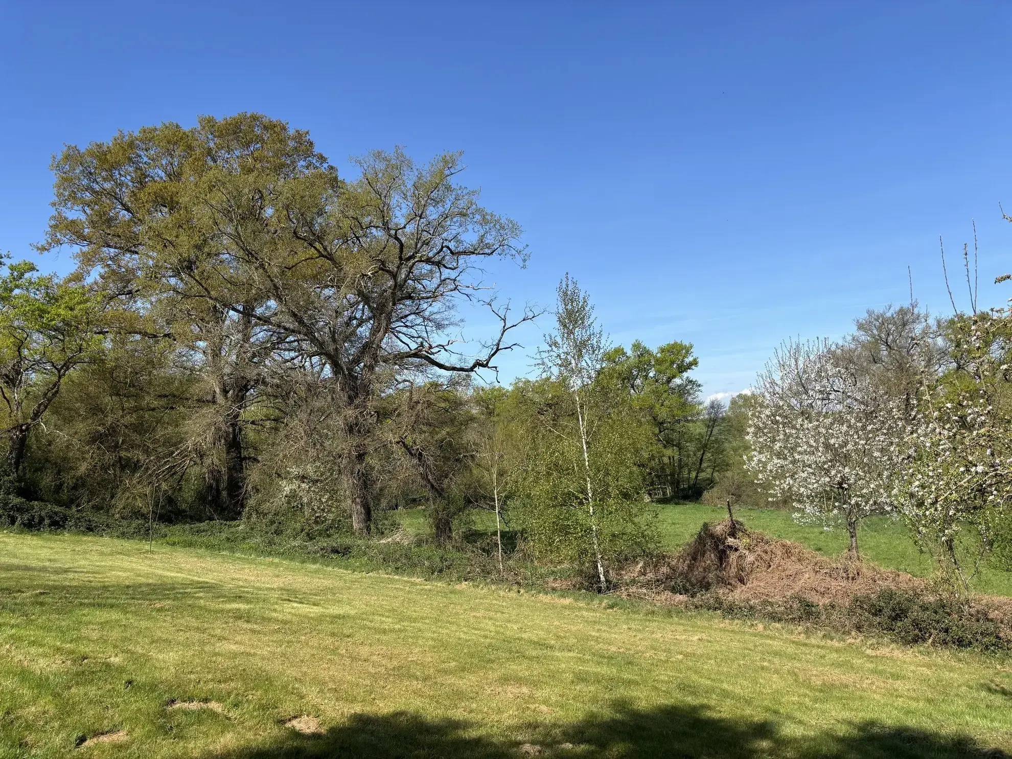 Belle maison de charme avec grand terrain et vue imprenable à Saint-Maur 