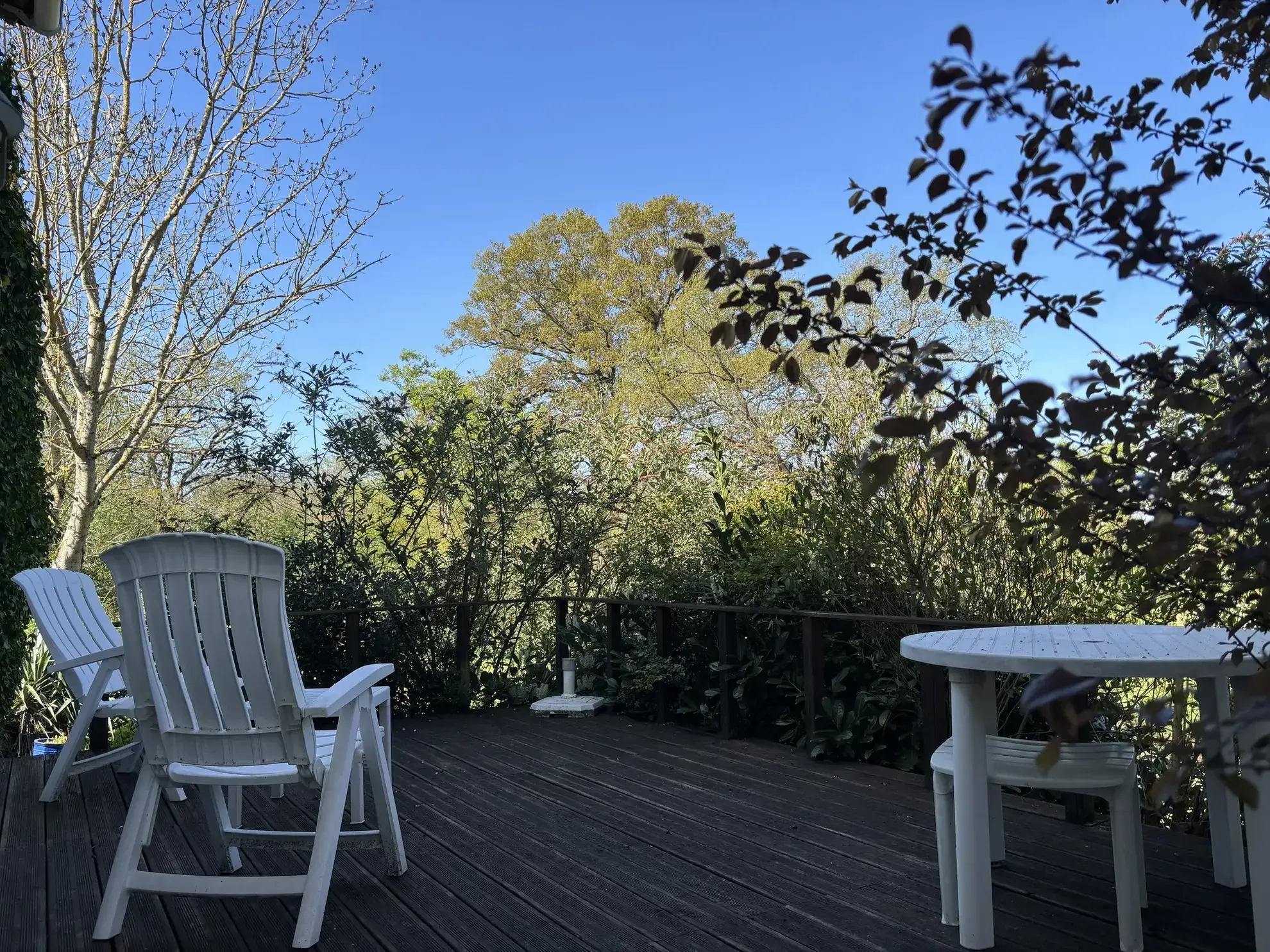 Belle maison de charme avec grand terrain et vue imprenable à Saint-Maur 