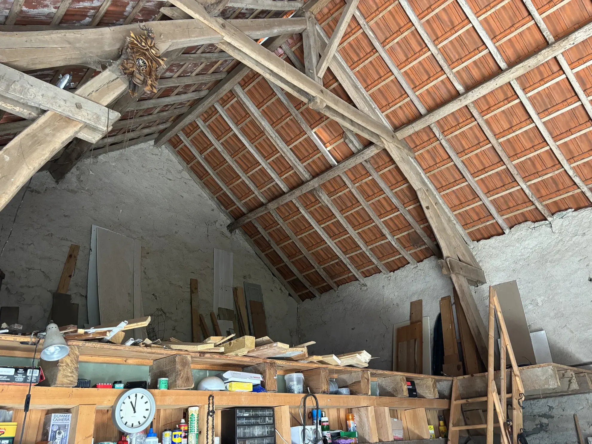 Belle maison de charme avec grand terrain et vue imprenable à Saint-Maur 