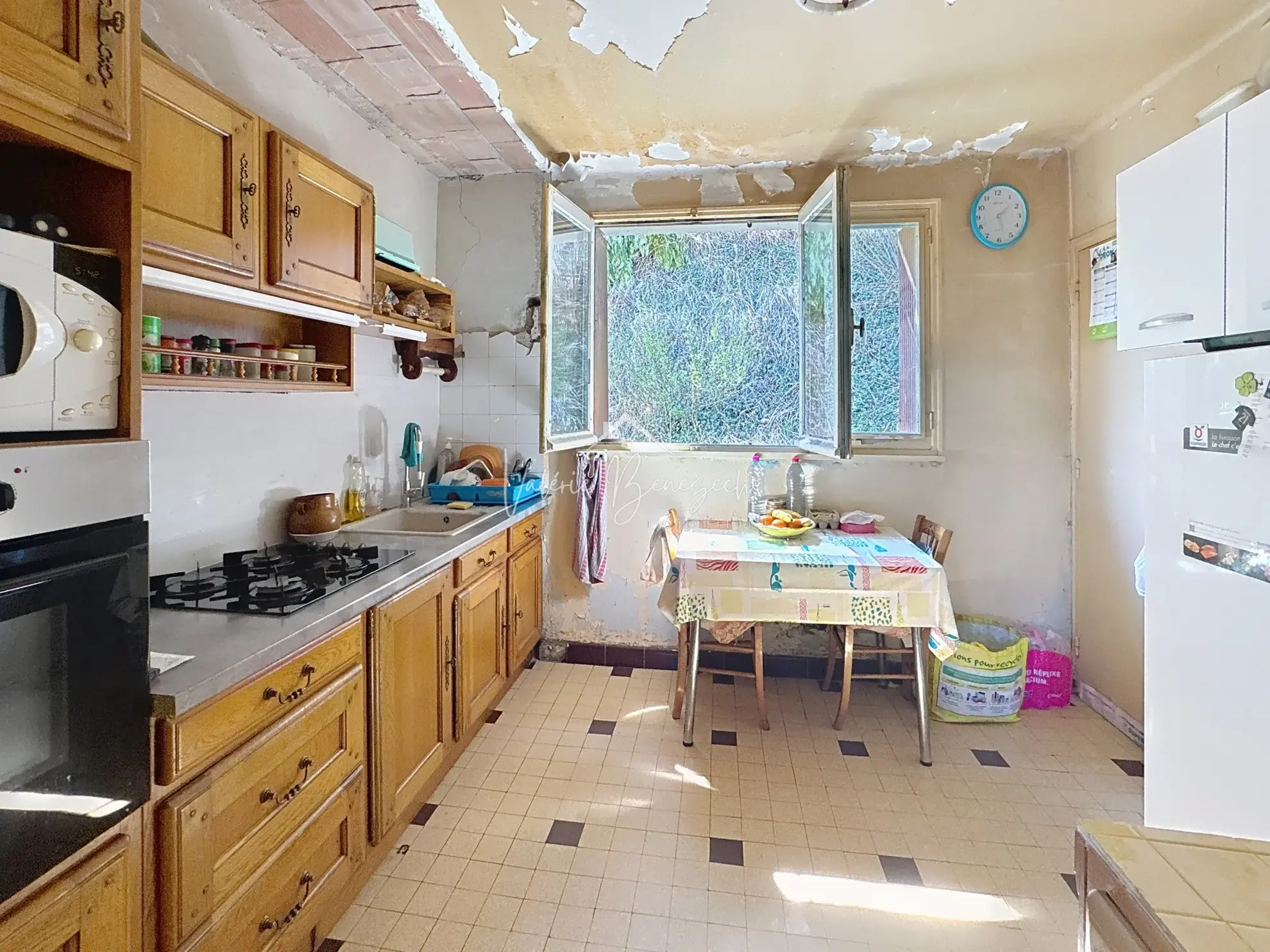 Maison T3 avec double garage sur 2718 m² à Camares – Potentiel et confort 