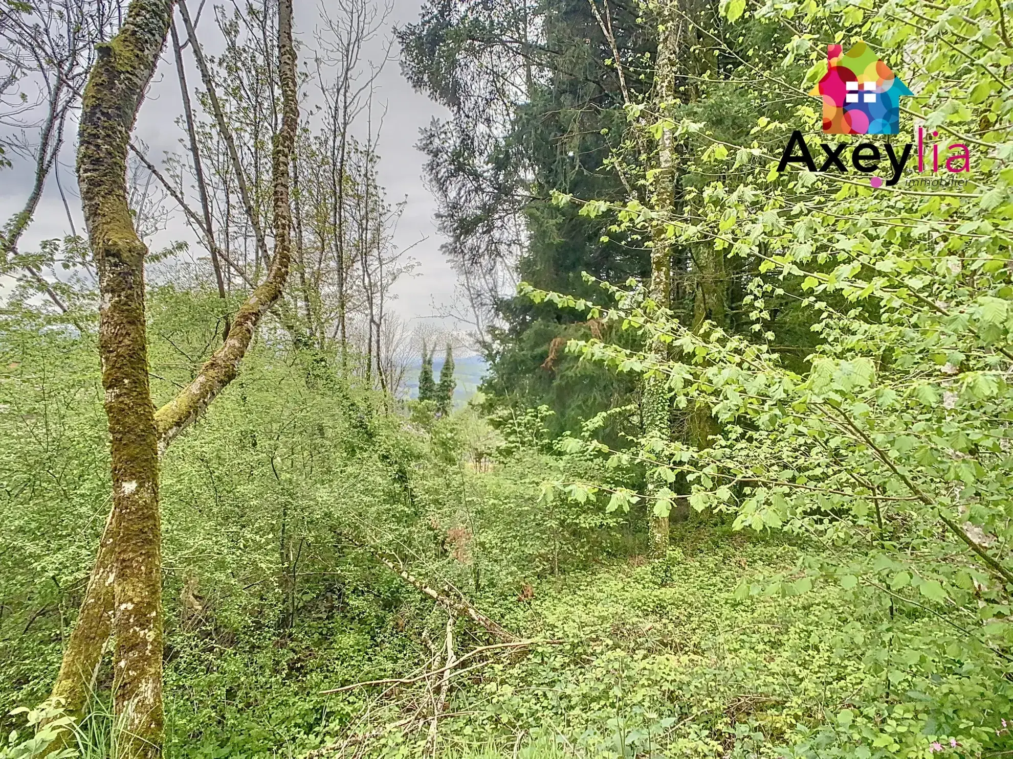 Maison en pierres à rénover avec terrain de 2117 m² à Saint-Nicolas-des-Biefs 