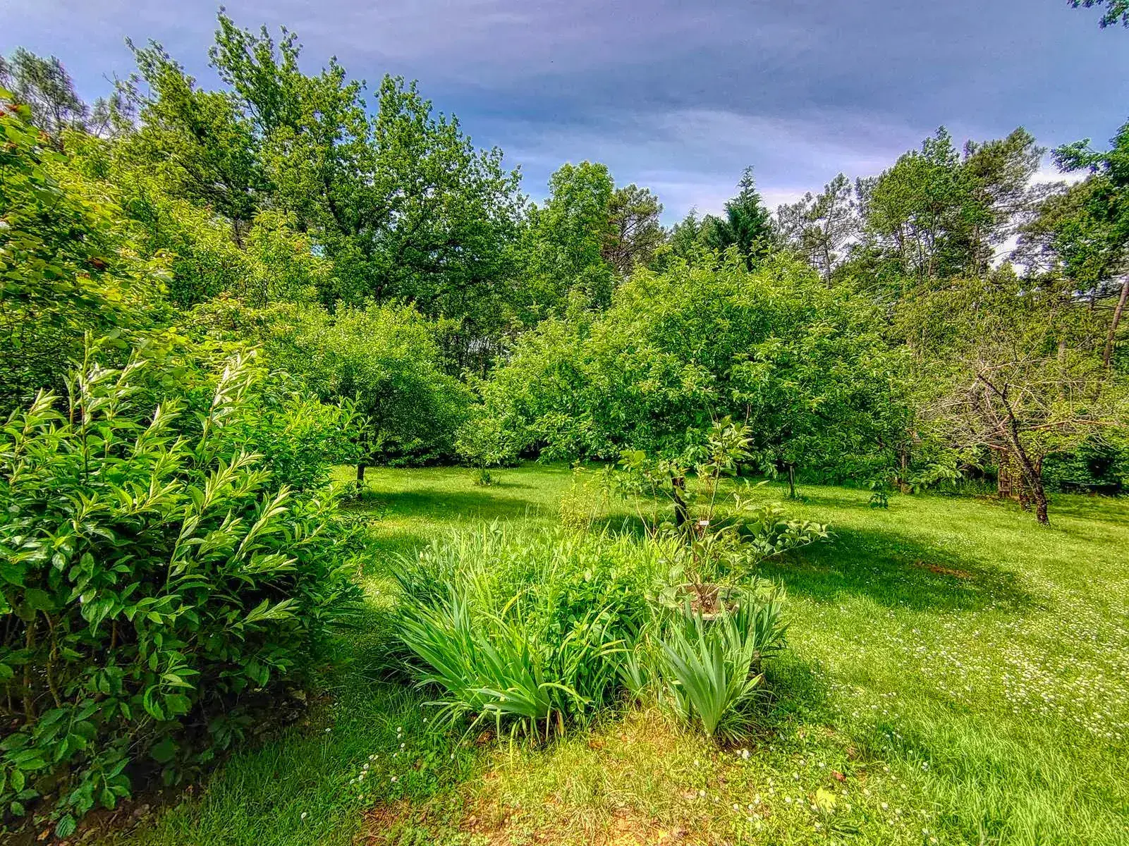 Maison de 3 chambres avec véranda et grand jardin proche Montcabrier 