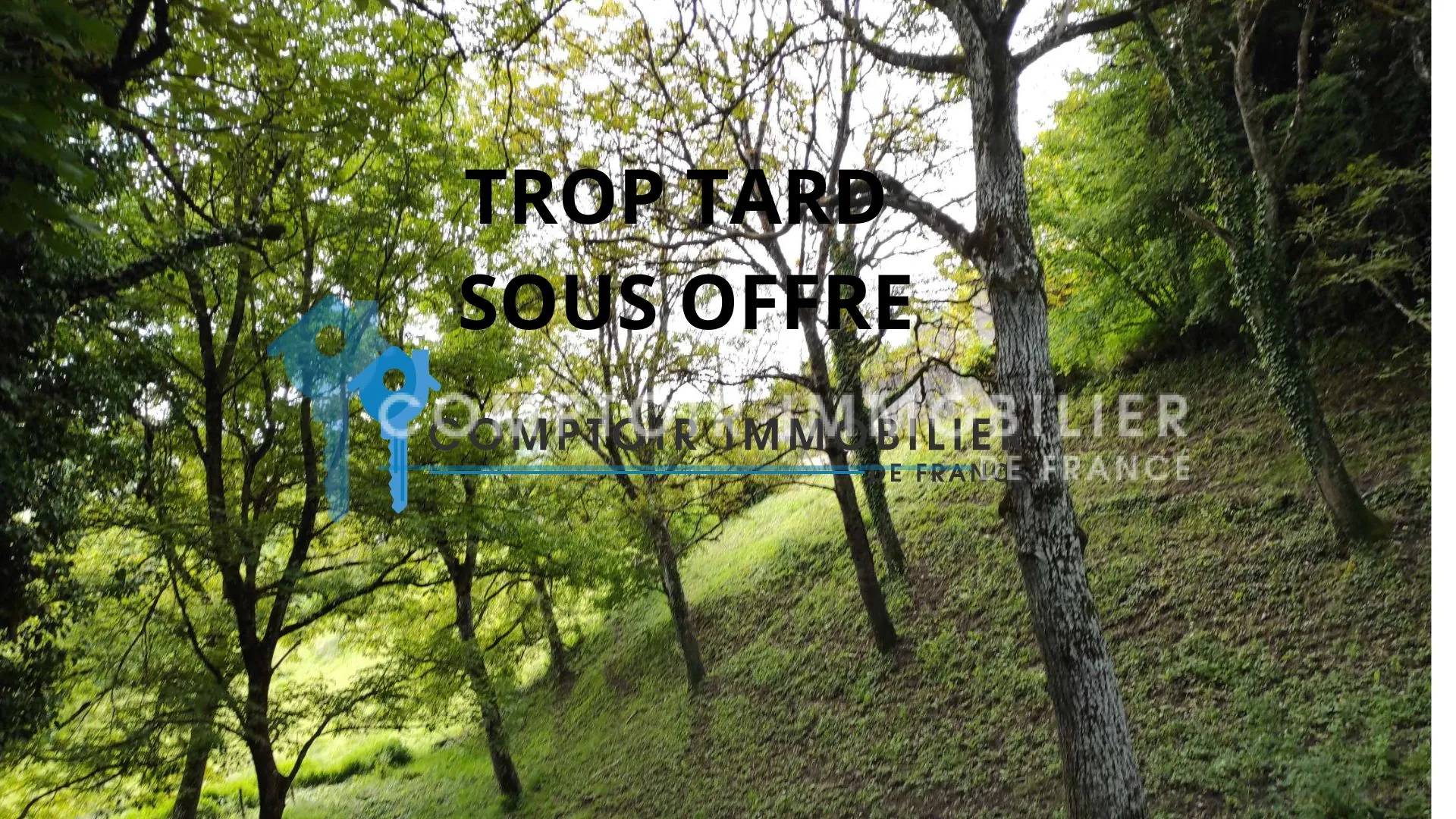 Terrain agricole de 2575 m² avec noyers matures à Paladru 38