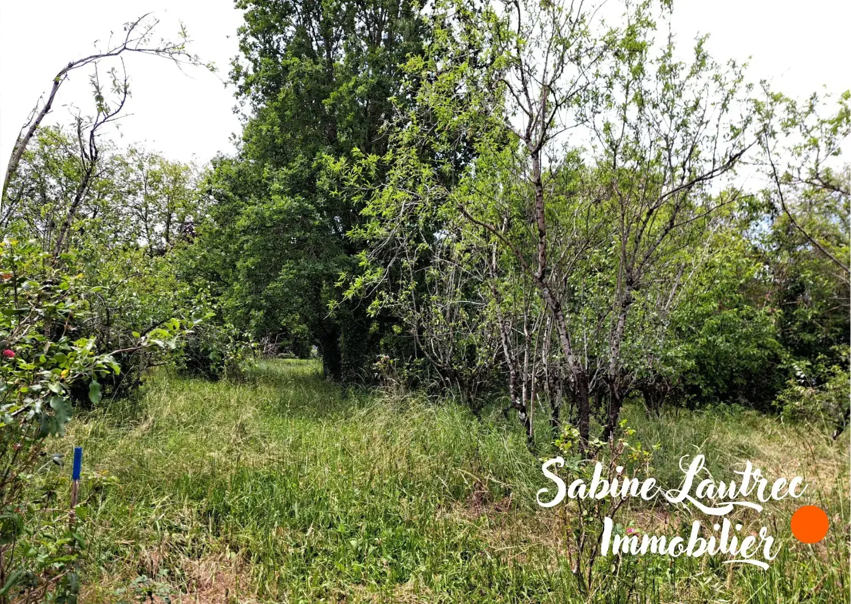 Terrain constructible arboré proche Castres et Albi - Vènes 81440 