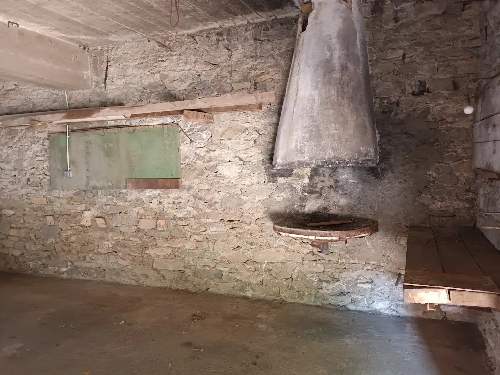 Belle maison rénovée de 8 pièces avec garages et espaces extérieurs proche de Carcassonne 