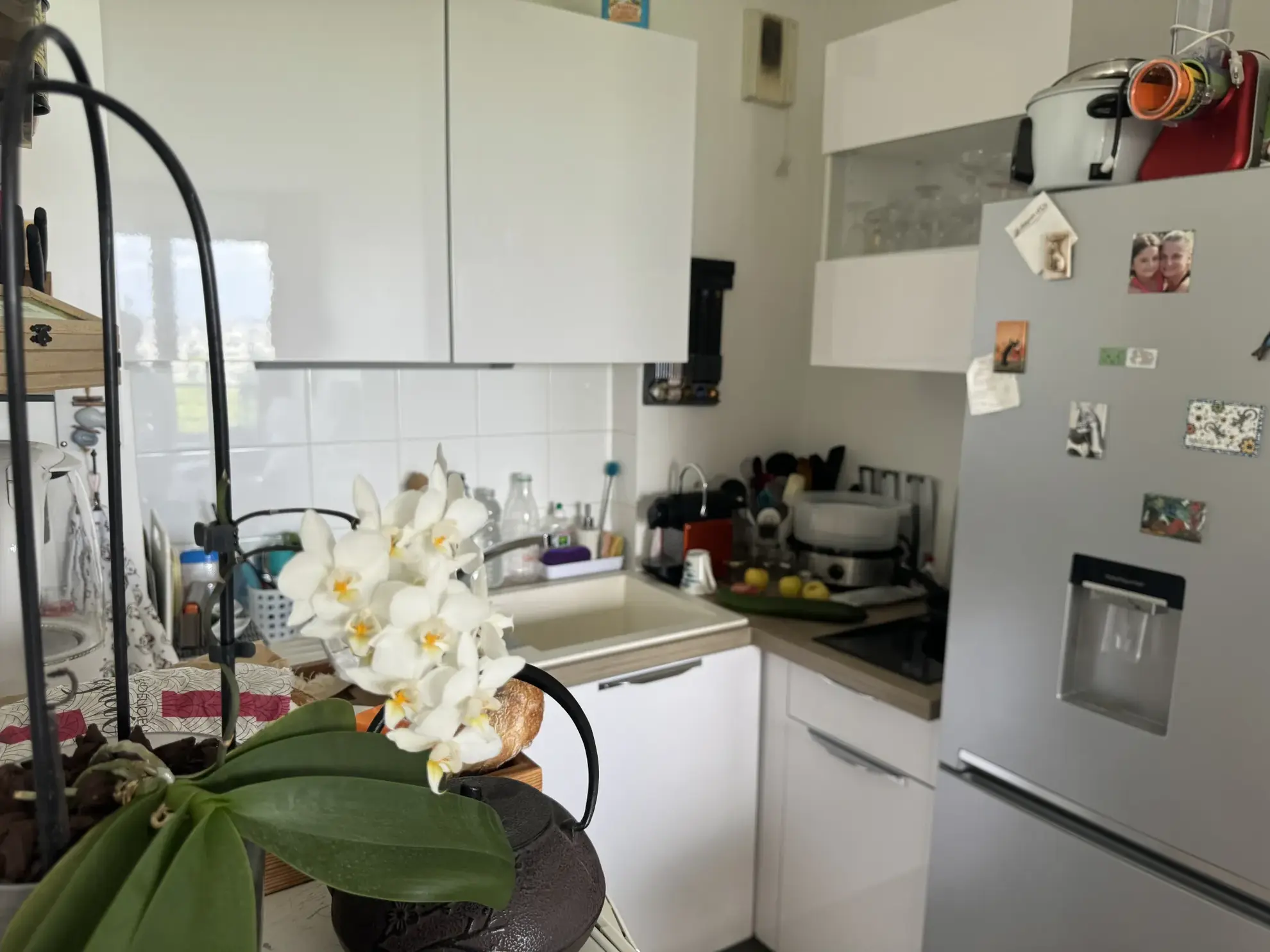 Appartement 2 pièces avec balcon et terrasse à Villejuif proche jardin calme 