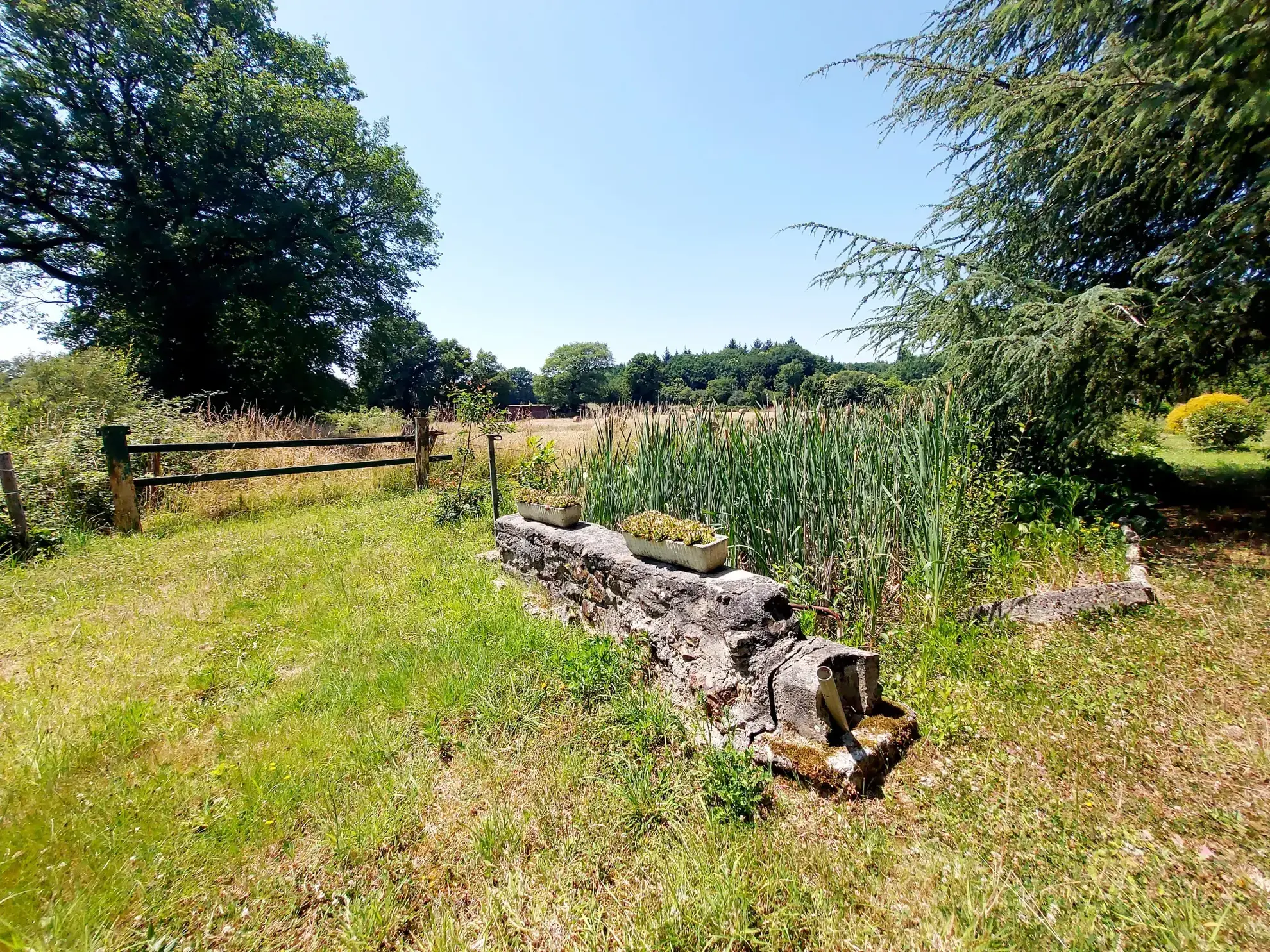 Grande maison de campagne à Port Brillet avec terrain et dépendances - Vue 360° 