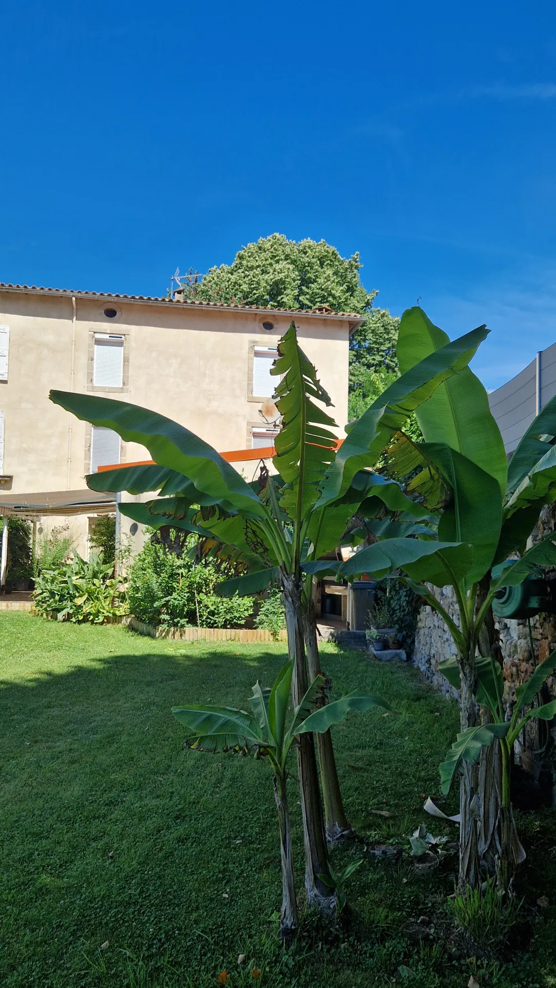 Maison de ville à Lodève avec jardin et potentiel de rénovation - 186 m² 