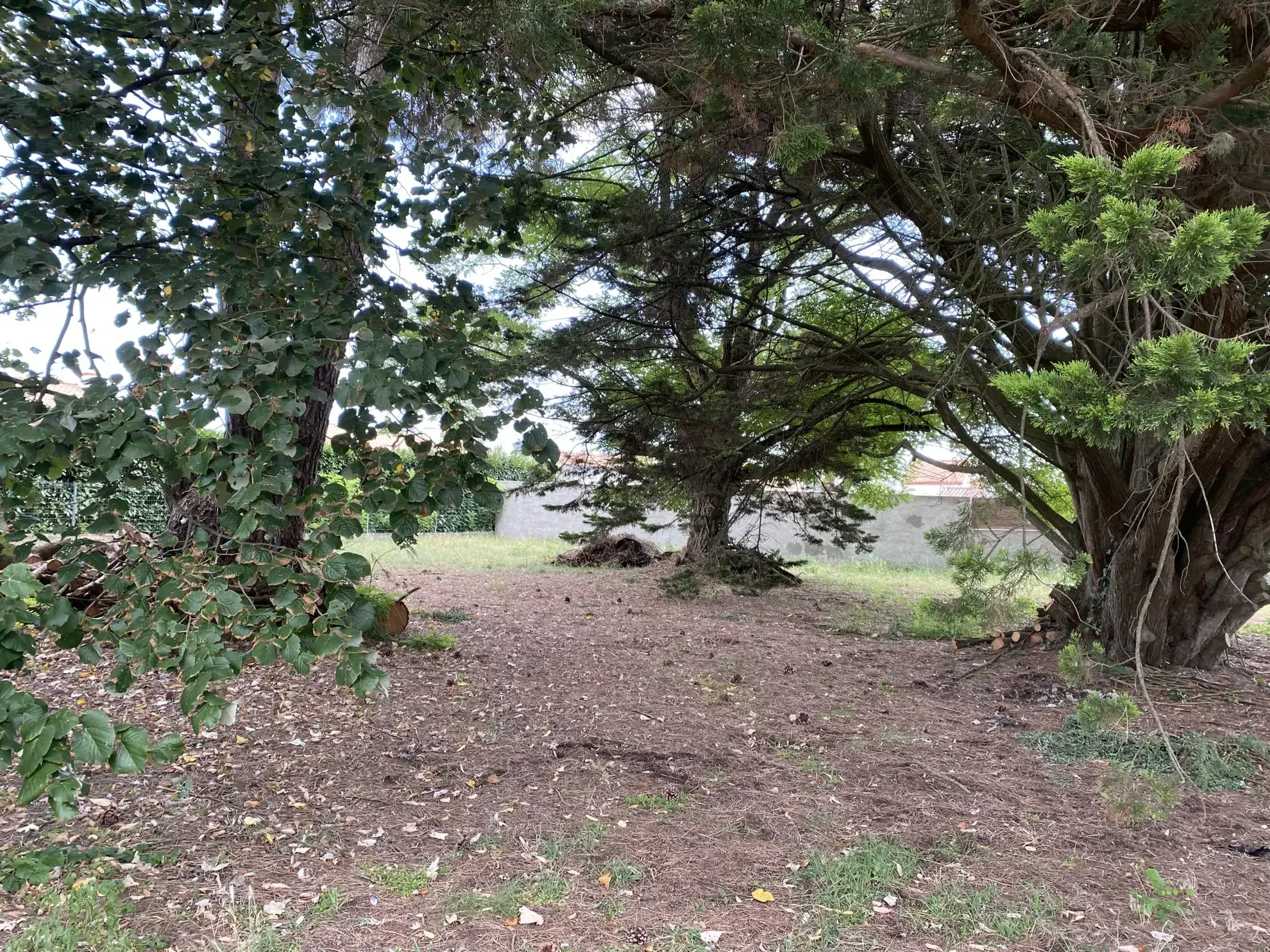 Maison familiale de 6 pièces avec grand jardin à Soullans 