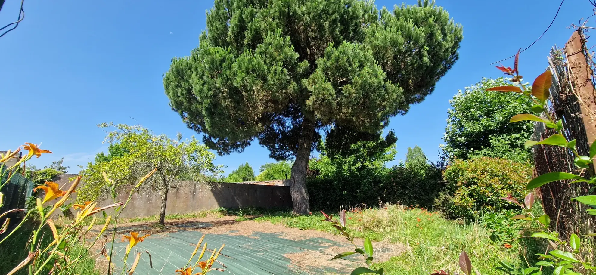 Grande maison familiale en pierre à Grignols de 373 m² avec jardin et garage 