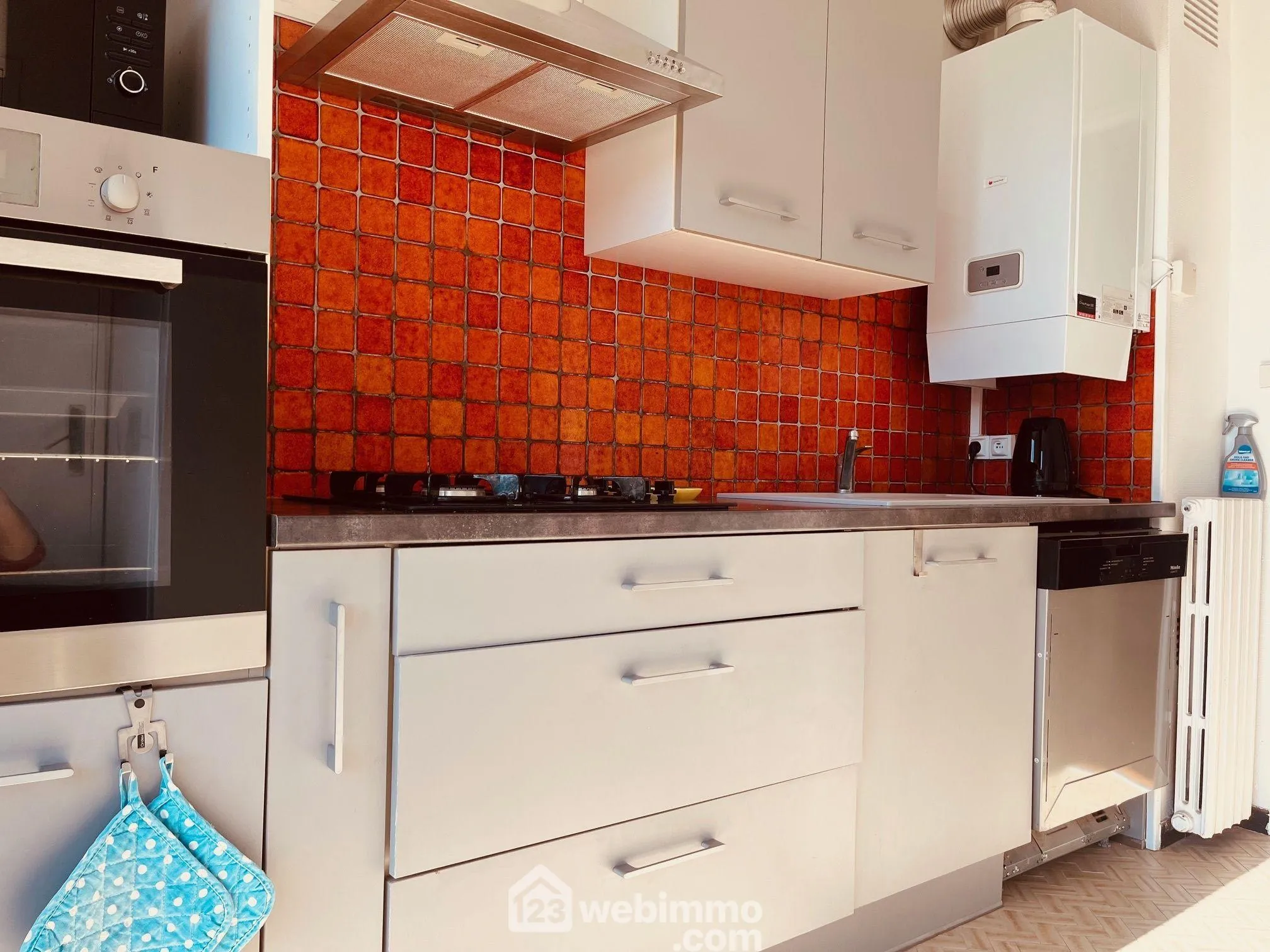 Appartement traversant lumineux à Perpignan avec vue sur les Corbières 