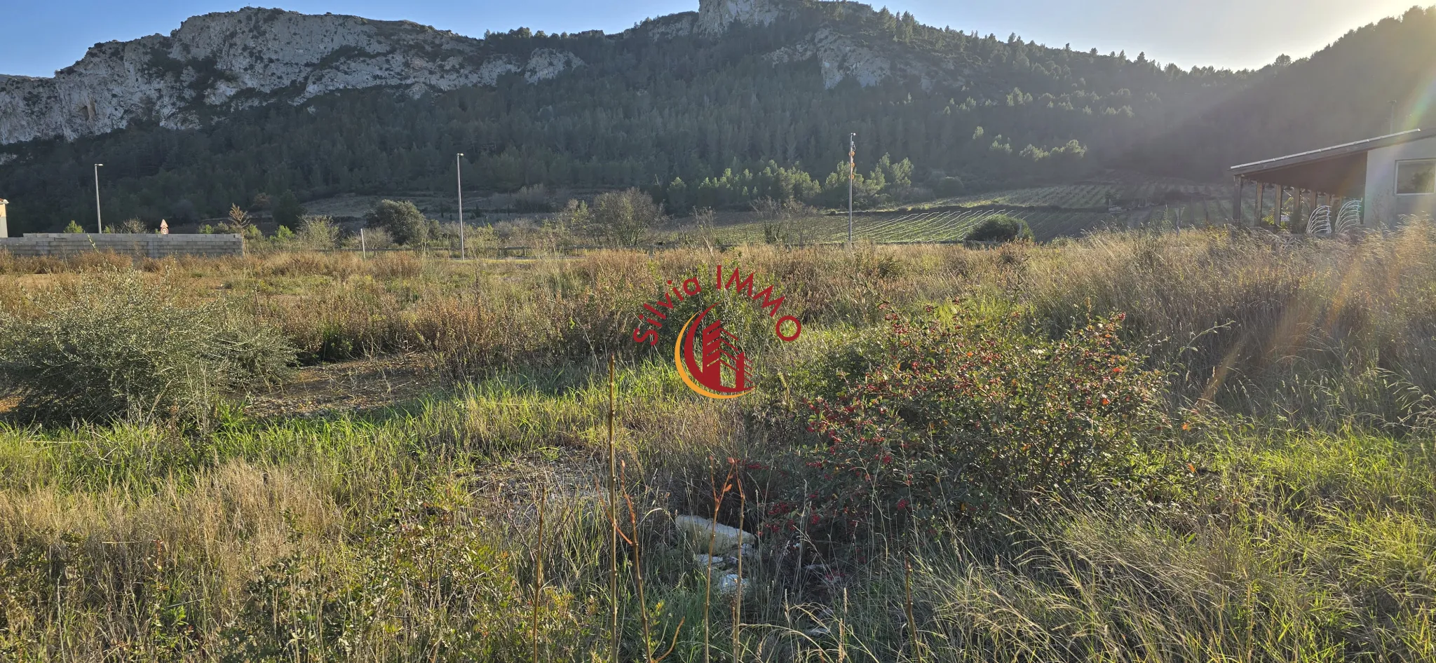 Terrain constructible de 509 m² à Tautavel avec vue dégagée et exposition plein sud 