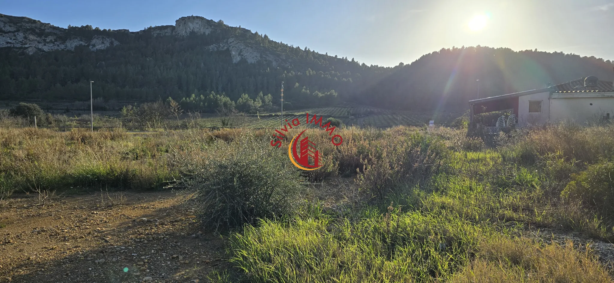 Terrain constructible de 509 m² à Tautavel avec vue dégagée et exposition plein sud 