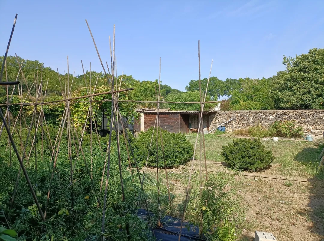 Terrain de loisir à vendre à Nizas de 430 m² avec arbres fruitiers et abri de jardin 