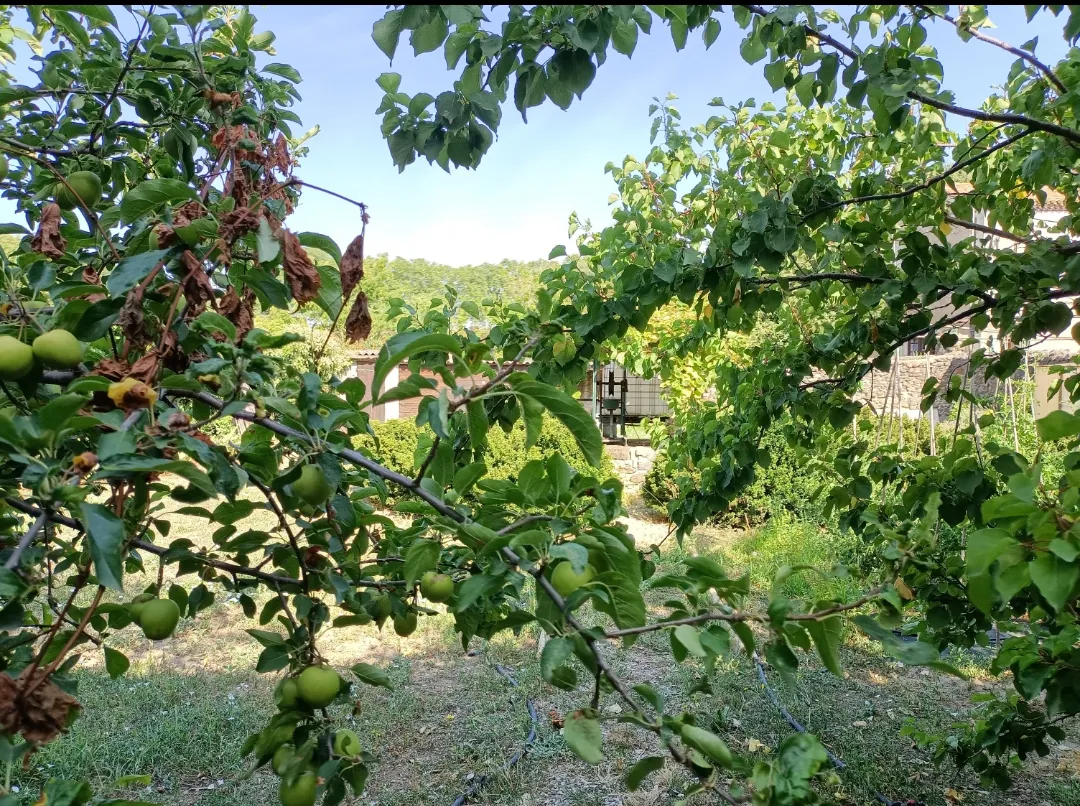 Terrain de loisir à vendre à Nizas de 430 m² avec arbres fruitiers et abri de jardin 