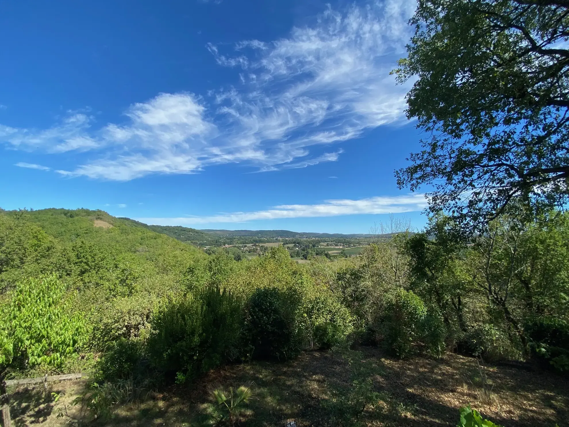 Vue panoramique : maison de plain-pied à vendre à Puy-l'Évêque dans le Lot 