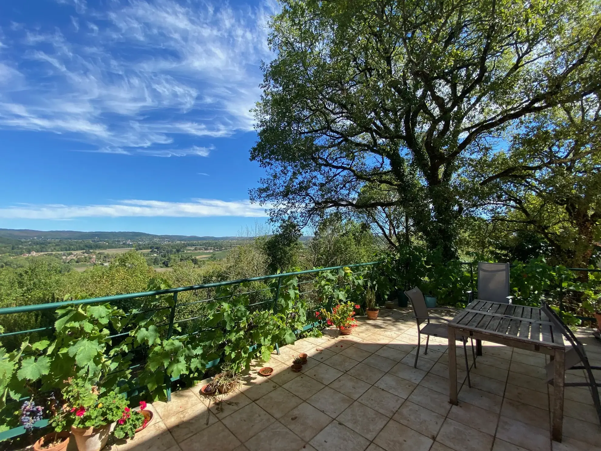Vue panoramique : maison de plain-pied à vendre à Puy-l'Évêque dans le Lot 