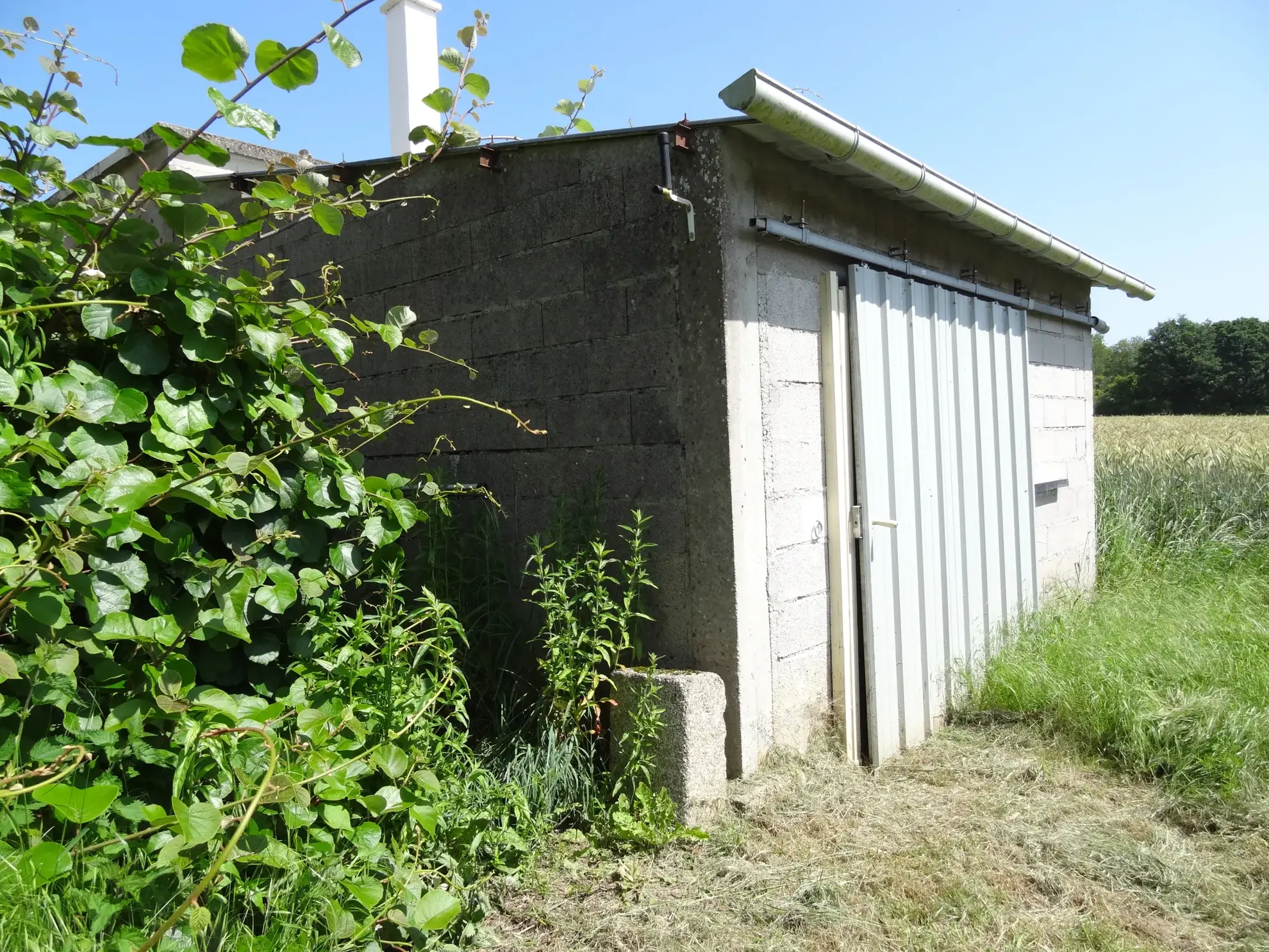 Maison de campagne avec dépendances et sous-sol complet à Saint-Nicolas-du-Pélem 