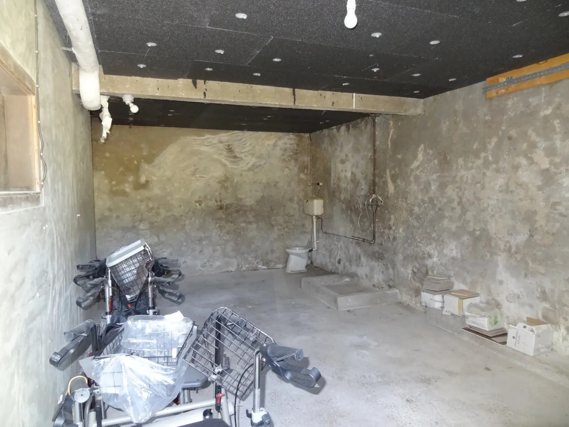 Maison de campagne avec dépendances et sous-sol complet à Saint-Nicolas-du-Pélem 