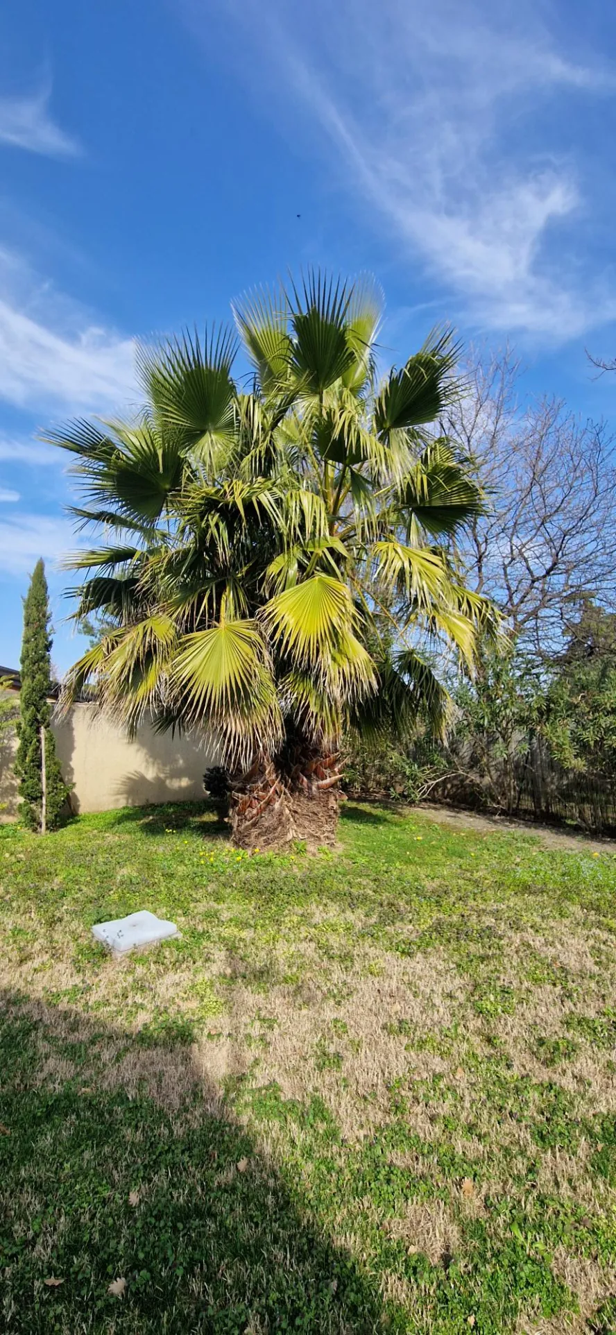 Villa récente avec terrasse, garage et terrain clos à Pont Saint Esprit 30130 