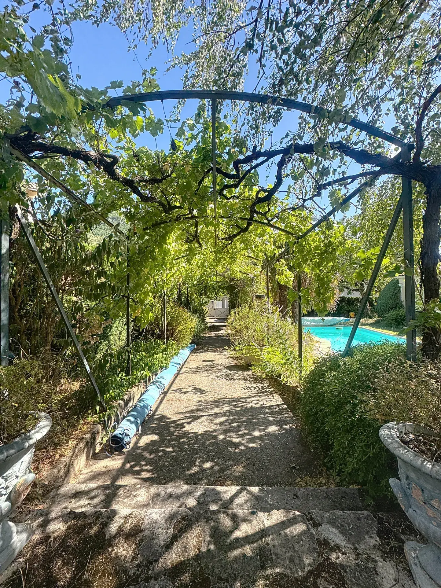 Charmante maison avec piscine, maisonette et grand jardin à Millau 