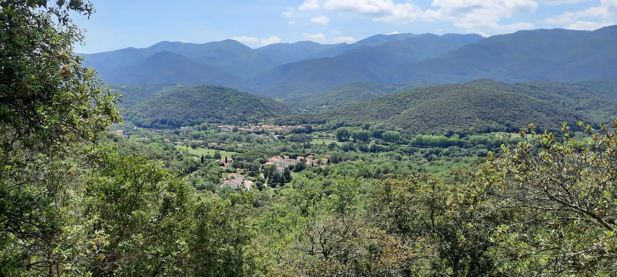 Terrain de loisir boisé à Reynes de 17 646 m² avec vue dégagée et accès facile