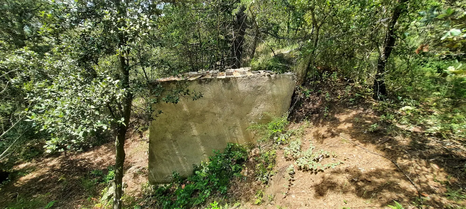 Terrain de loisir boisé à Reynes de 17 646 m² avec vue dégagée et accès facile 