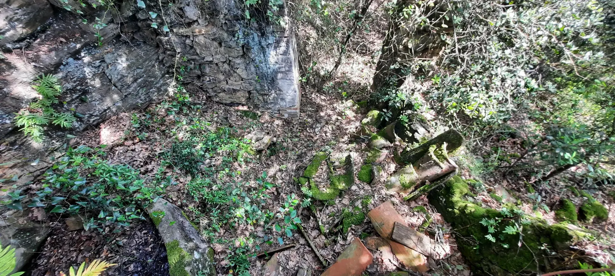 Terrain de loisir boisé à Reynes de 17 646 m² avec vue dégagée et accès facile 