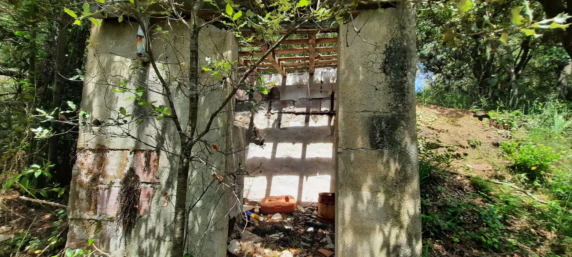 Terrain de loisir boisé à Reynes de 17 646 m² avec vue dégagée et accès facile 